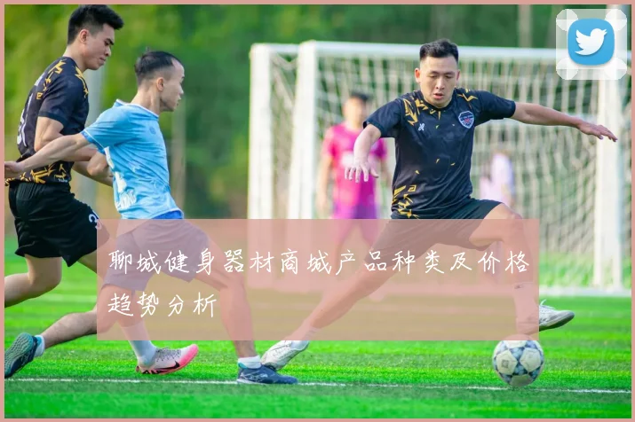 聊城健身器材商城产品种类及价格趋势分析