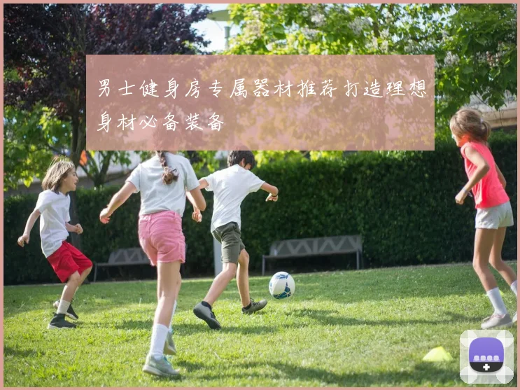 男士健身房专属器材推荐打造理想身材必备装备