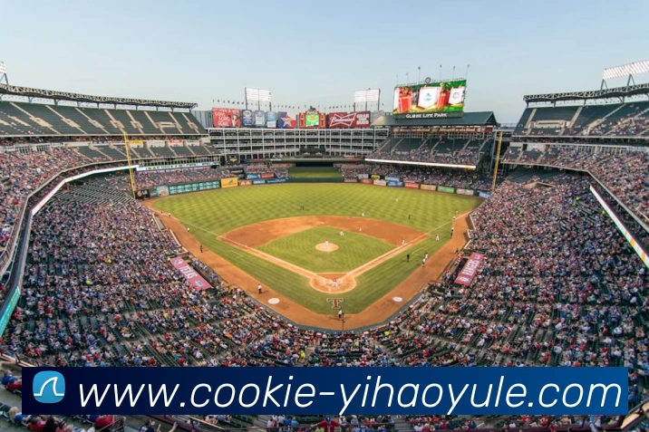 多媒体互动体验